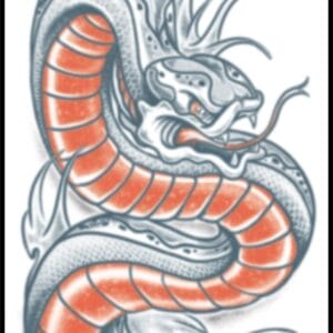 Biker Snake - Temporary Tattoo