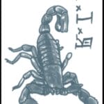 Scorpion – Temporary Tattoo By Tinsley Transfers