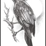 Tinsley Transfers Raven – Temporary Tattoo