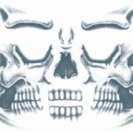 Face  – Skull Face – Temporary Tattoo